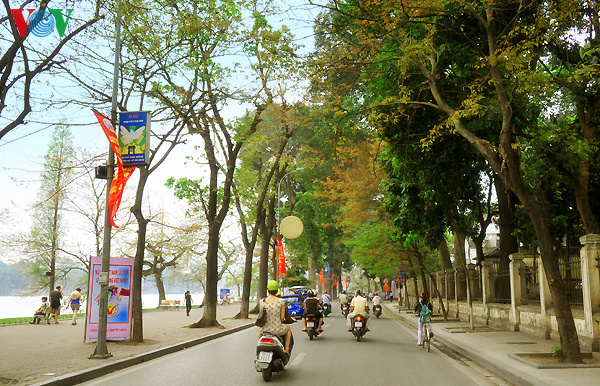 Hà Nội mùa cây trổ lá